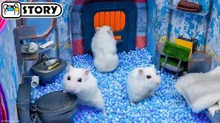 Thumbnail: Hamster Escape from the Nuclear Shelter Prison Maze 🐹 Homura Ham Pets