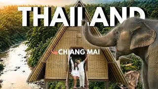 Thumbnail: Chai Lai Orchid Thailand - Elephants Came to Our Room Every Morning