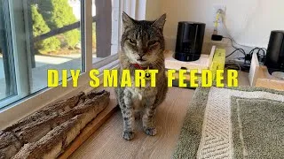 Thumbnail: DIY Smart Cat Feeder with RFID