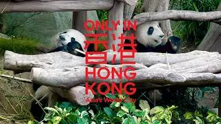 Thumbnail: Only in Hong Kong: Breakfast with the Locals, a Feast You’ll Never Forget | 只在香港：細味，地道款待。