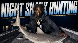 Thumbnail: Midnight Shark Hunting Gone WILD! 🦈