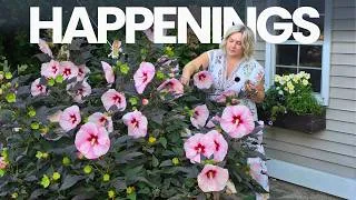 Thumbnail: What's Still Blooming in the Late Summer Garden? August 2026 Garden Tour
