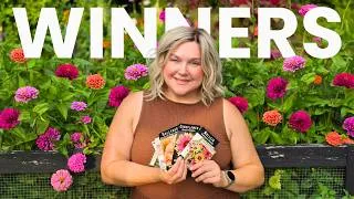 Thumbnail: Plant These Next Year! Stunning Flowers Grown from Seed Results