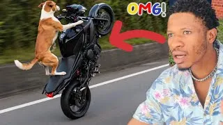 Thumbnail: Craziest funny parody videos to watch on YouTube from Hoozy😂(TRY NOT TO LAUGH)😂 #funny #viral 