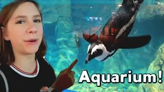 Thumbnail: Visiting an Aquarium At OdySea Aquarium in Scottsdale Arizona and Searching for Monster Fish!!!