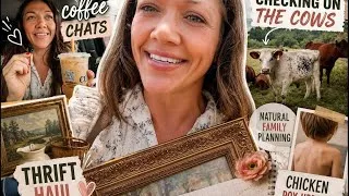 Thumbnail: Checking Cows, Coffee Chats, Weight Loss, Thrift Haul & How We Prevent Pregnancy | Summer Vlog