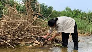 Thumbnail: A single mother met and rescued a man who had lost his child by the stream.