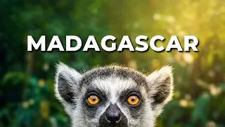 Thumbnail: MADAGASCAR: Where Nature Went Wild