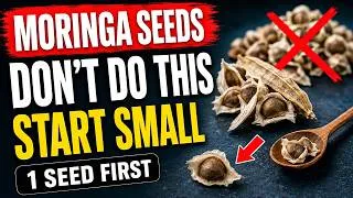 Thumbnail: Moringa Seeds: The Exact Dose (A Handful = an Hour in the Bathroom)