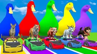 Thumbnail: Long Slide Game With Cow Elephant Gorilla Hippopotamus Tiger 3d Animal Game Funny 3d Animals