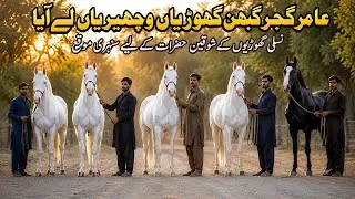 Thumbnail: Gabhan Ghoriyan | Pregnant Horse | Pakistan Horse Market 2026 | Horse Mandi | Horse In Punjab 