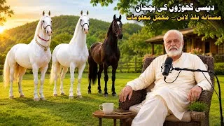 Thumbnail: Mastana Bloodline History | Pakistani Desi Horse | Wajid Shah Kachiyan Wala | Aminpur Bangla Mandi