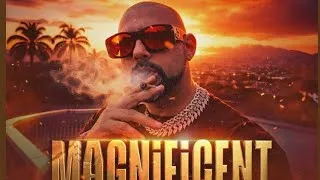 Thumbnail: Sean Paul - Magnificent [Offical Audio]