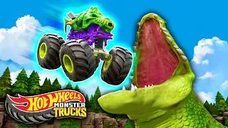 Thumbnail: Flying Monster Trucks and TOTAL CHAOS! 💥😱 | Hot Wheels Monster Trucks