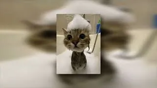 Thumbnail: Like that - Doja Cat - rock cover - ToBee Maguire (sped up)