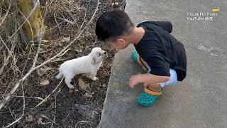 Thumbnail: We Met a Puppy While Traveling With Our Two Kids, and She Followed Us, Refusing to Leave