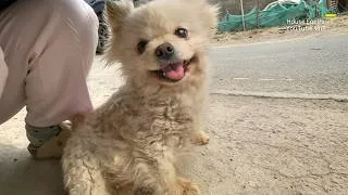 Thumbnail: She Just Followed Me Into the Yard, Then She Never Wanted to Leave Again