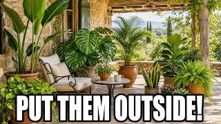 Thumbnail: The Fastest Way to Grow HUGE Houseplants