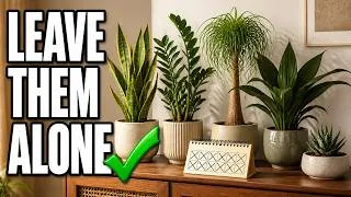 Thumbnail: 5 Houseplants That Grow Better When You Leave Them Alone (Most People Don’t Know These)