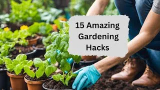 Thumbnail: Top 15 Free Gardening Hacks That Actually Work | GARDENING TRICKS & TIPS