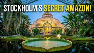 Thumbnail: "Sweden's Secret Amazon: Inside Victoria House"