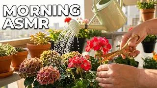 Thumbnail: Relaxing Balcony ASMR: Morning Plant Care Routine