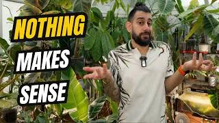 Thumbnail: You Checked EVERYTHING… So Why Is Your Houseplant Still Dying? 😩🌿