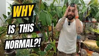 Thumbnail: 10 Things Houseplant Shops REALLY Need to Stop Doing 😳🌿
