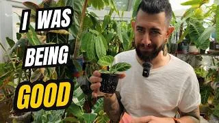 Thumbnail: I Was “Being Good” With Houseplants… Then THIS Happened 😅🌿