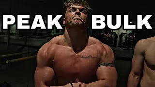 Thumbnail: Gain 40 Pounds of Muscle (fat)