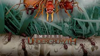Thumbnail: Eating my Neighbors in Empires of the Undergrowth - Part 1