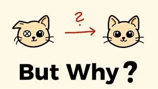 Thumbnail: But Why Is Schrödinger's Cat NOT Dead AND Alive Anymore? (Physicist explains Decoherence)