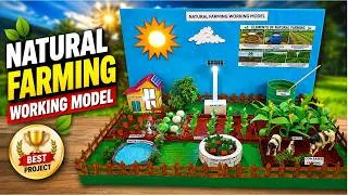 Thumbnail: natural farming working model - agriculture - for science exhibition - diy - creative - howtofunda