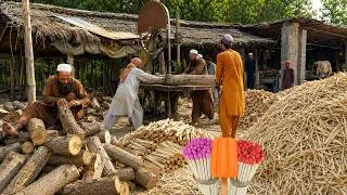 Thumbnail: Inside the Factory: How Raw Wood Is Turned Into Millions of Ice Cream Sticks & Matchsticks Every Day