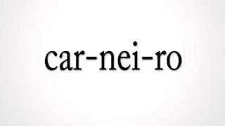 Thumbnail: How to pronounce "carneiro" in portuguese