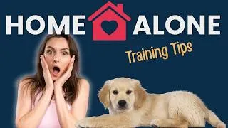 Thumbnail: Leaving Puppy Home Alone - Mistakes to Avoid