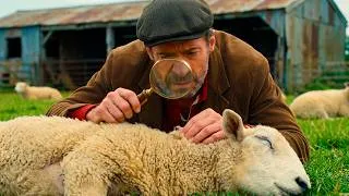 Thumbnail: When a Shepherd Is Murdered, His Brilliant Detective Sheep Track Down Who Did It