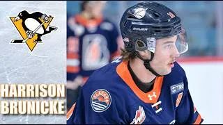 Thumbnail: Harrison Brunicke | 2025-26 Highlights