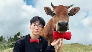 Thumbnail: To Help Our Fan Find His Cow, We Built This...
