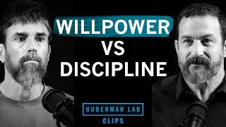 Thumbnail: Difference Between Willpower & Discipline | Ido Portal & Dr. Andrew Huberman