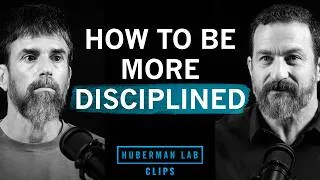 Thumbnail: How to Be More Disciplined Through Playfulness | Ido Portal & Dr. Andrew Huberman