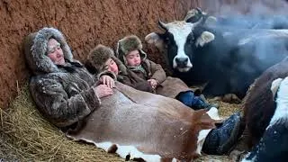 Thumbnail: -70°C Blizzard Survival: Grandmother Saves Her Flock #SurvivalStory #GrandmotherShepherd