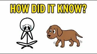 Thumbnail: Why Your Dog Knows When You're Sad