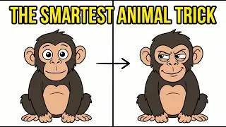 Thumbnail: What Animals Do When You're Watching