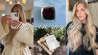 Thumbnail: first few days of august 🤍🕯️ hair wash routine, pr unboxing, planning a fall trip? 🍂 & days at home
