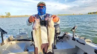 Thumbnail: Striper Fishing | Drifting live bluegill in the CA Delta - Decker Island - Rio Vista 