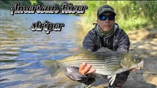 Thumbnail: Striper Fishing in the American River 