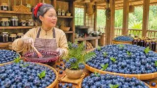 Thumbnail: Harvesting Ripe Blueberries, Processing Them at Home, and Selling at the Market | Trieu Mai Huong