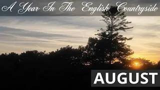 Thumbnail: A Year In The English Countryside: AUGUST
