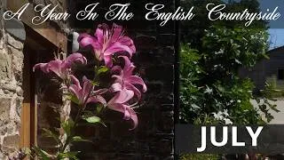Thumbnail: A Year In The English Countryside: JULY